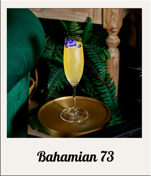 Bahamian 73