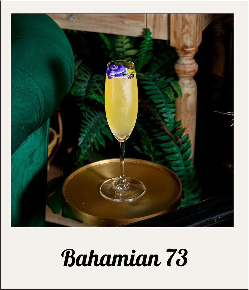 Bahamian 73